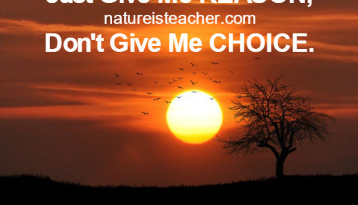 Give Me Reason Not Choice QUOTATION