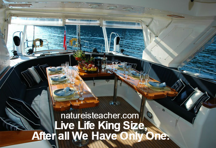 Live Life King Size QUOTATION