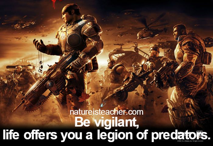 Be vigilant QUOTATION