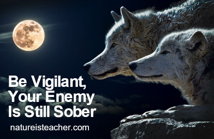 Be Vigilant QUOTATION