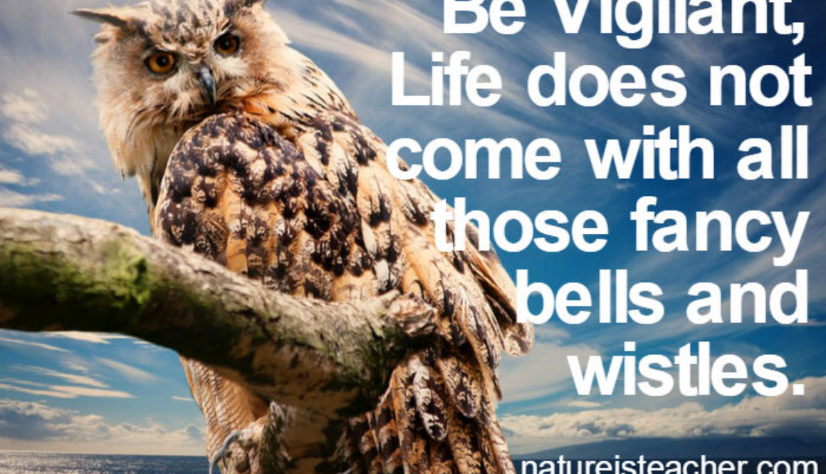 Be Vigilant QUOTATION