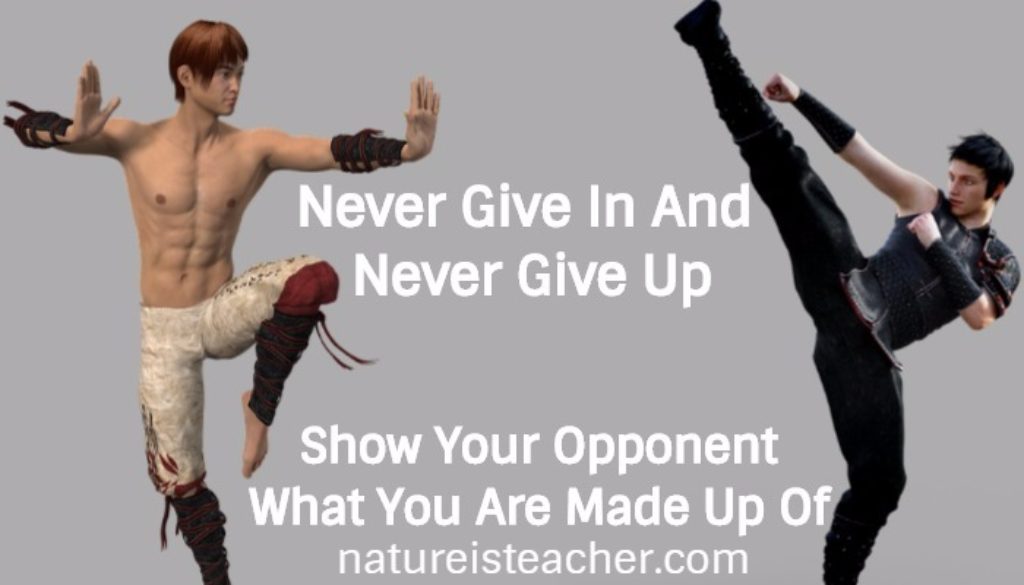 Never Give In And Never Give Up QUOTATION