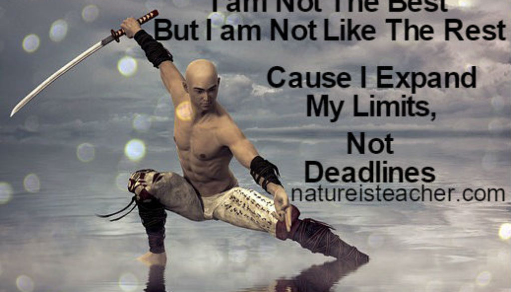 I am Not Like The Rest QUOTATION