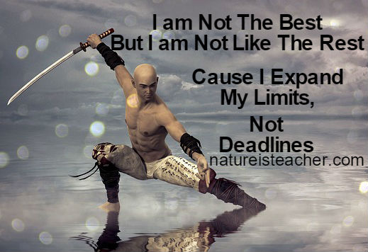 I am Not Like The Rest QUOTATION