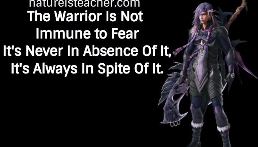The Warrior Is Not Immune To Fear QUOTATION