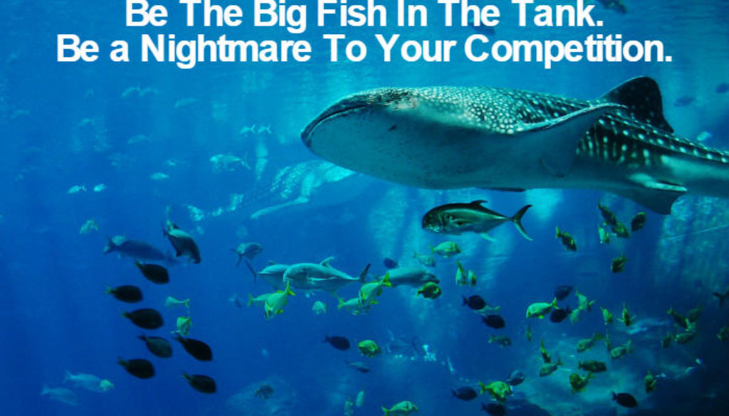 Be The Big Fish In The Tank QUOTATION