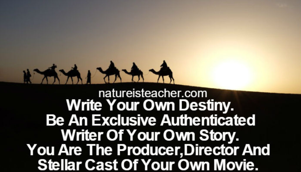 Write Your Own Destiny QUOTATION