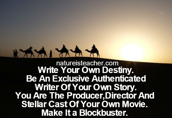 Write Your Own Destiny QUOTATION