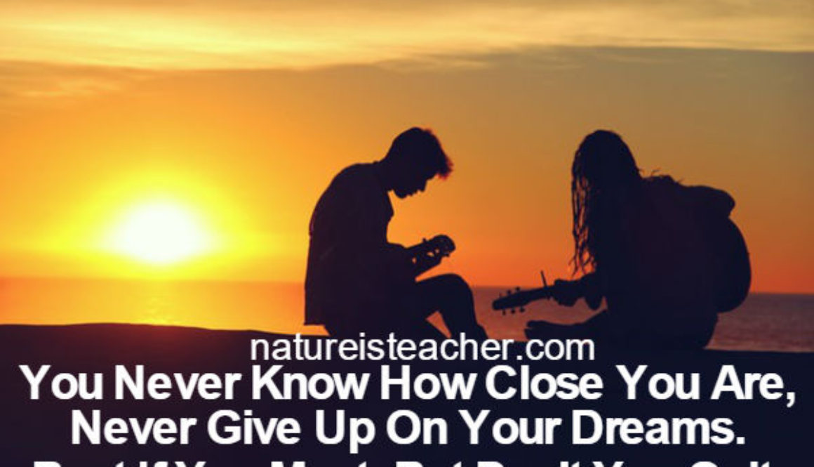 Never Give Up On Your Dreams QUOTATION