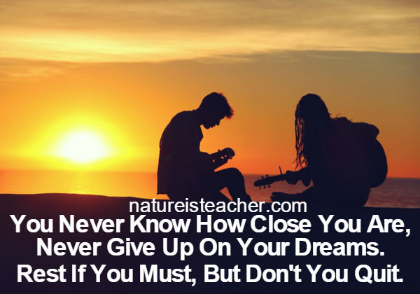 Never Give Up On Your Dreams QUOTATION