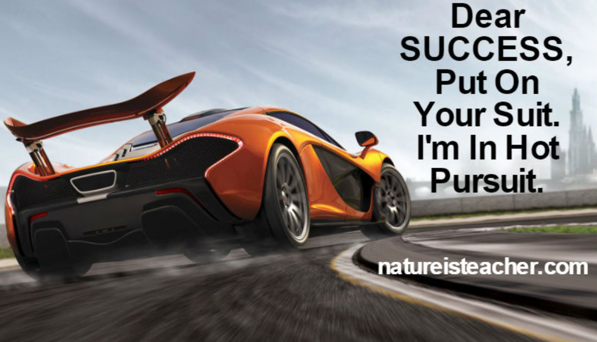 Success, I'm In Hot Pursuit QUOTATION