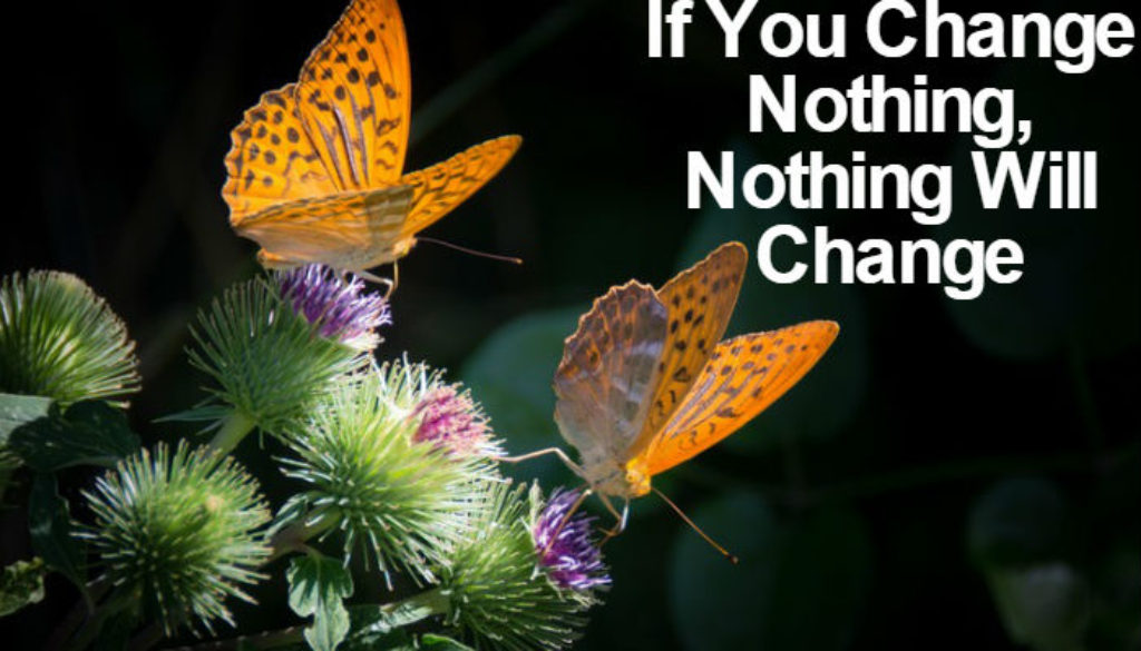 If You Change Nothing, Nothing Will Change QUOTATION