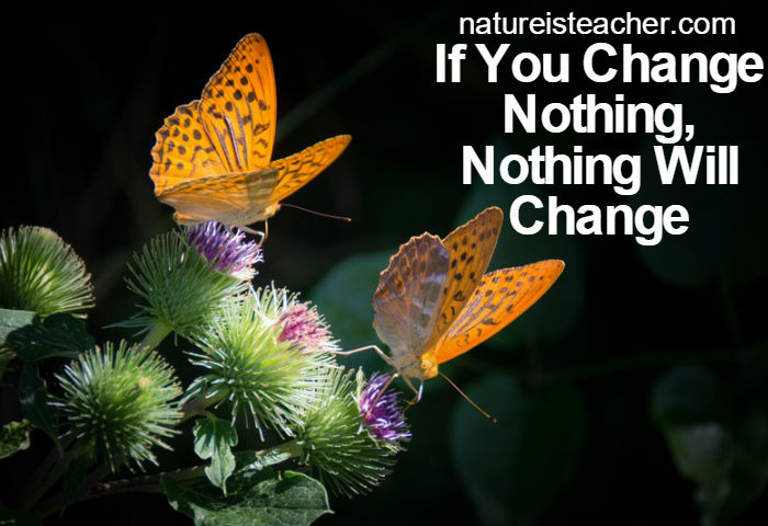 If You Change Nothing, Nothing Will Change QUOTATION
