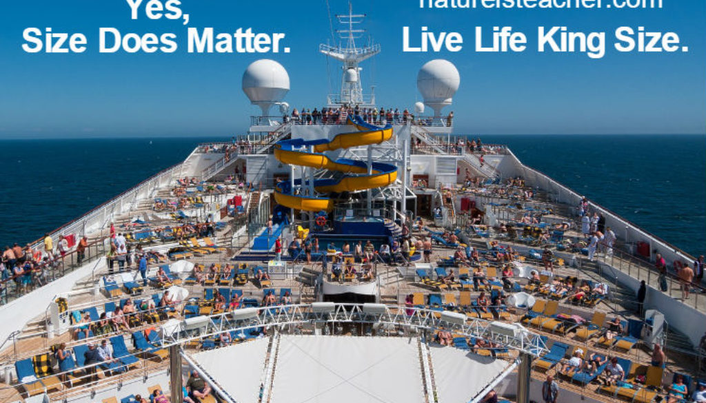 Size Does Matter QUOTATION