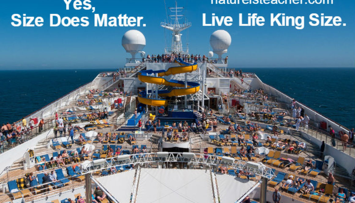 Size Does Matter QUOTATION