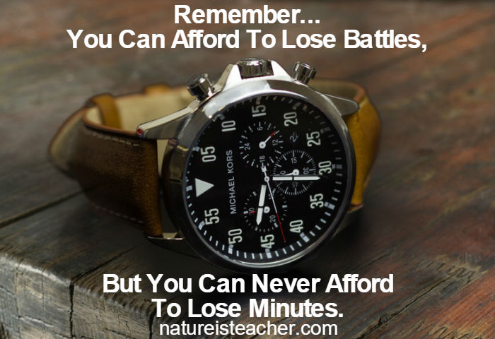 You Can Never Afford To Lose Minutes QUOTATION