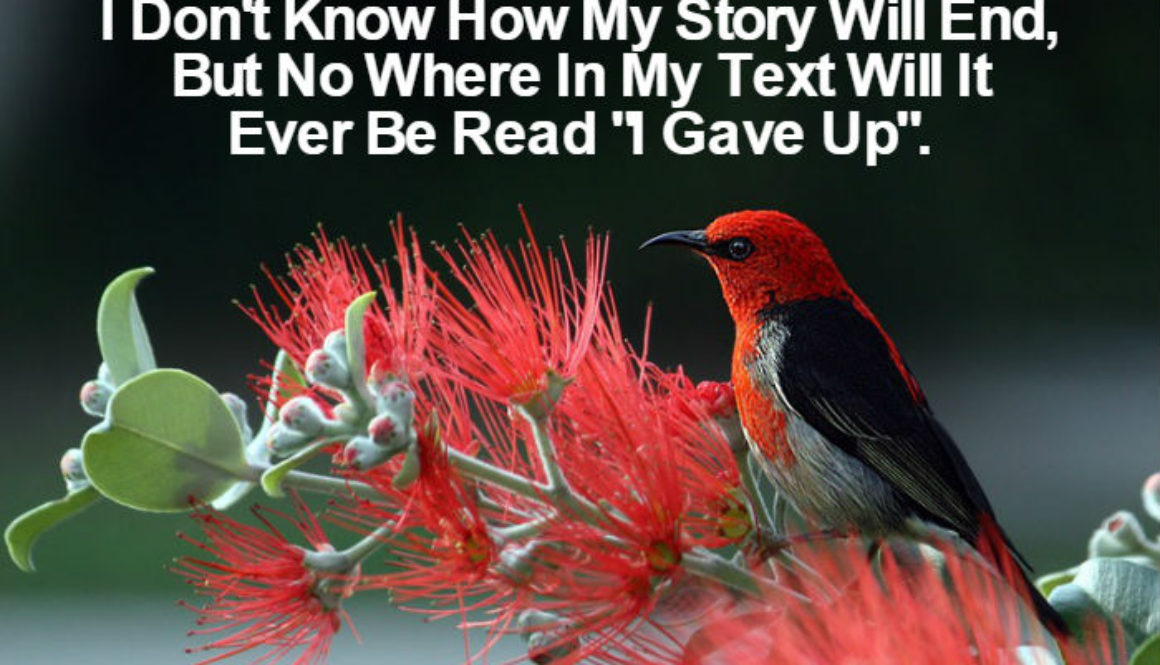 I Will Never Give Up QUOTATION