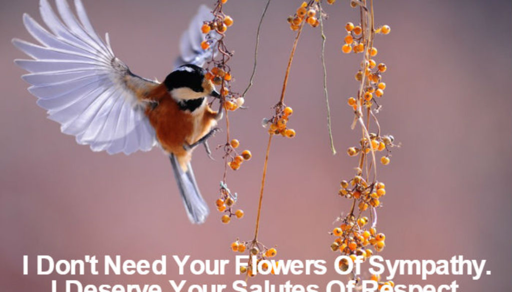 I Deserve Your Salutes QUOTATION