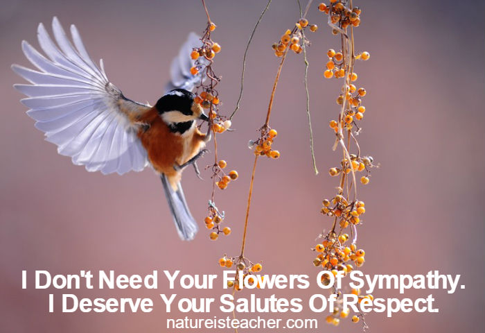 I Deserve Your Salutes QUOTATION