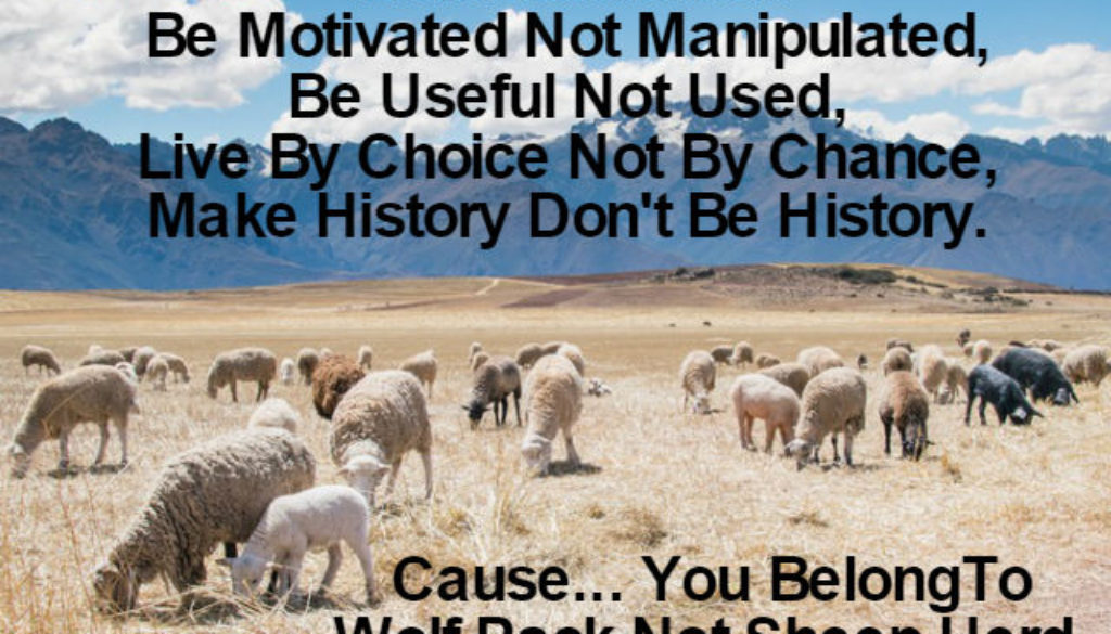 You Belong To Wolf Pack QUOTATION