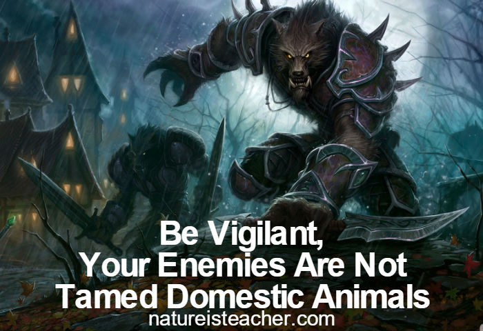 Be Vigilant Quotation