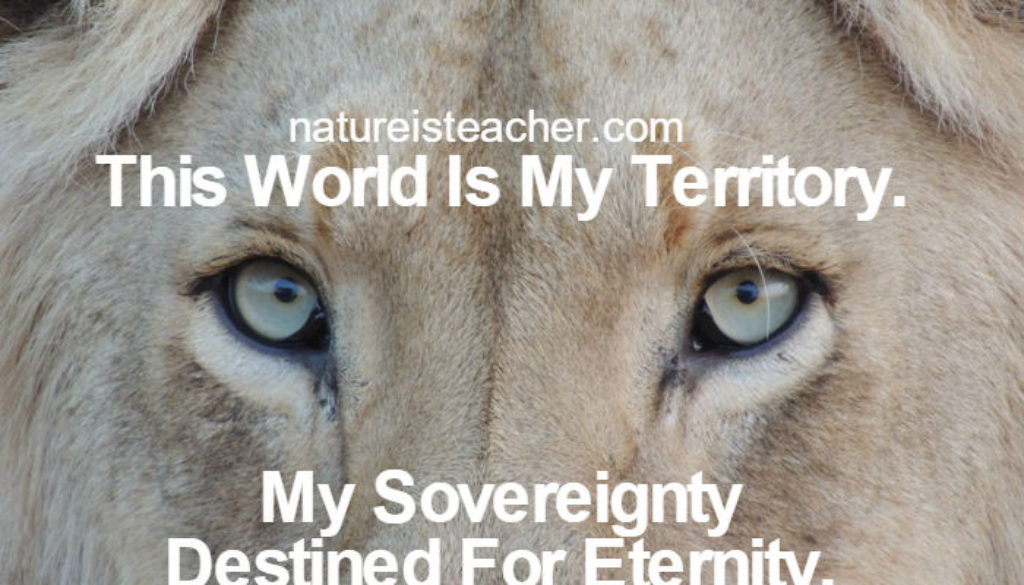My Sovereignty Is For Eternity QUOTATION