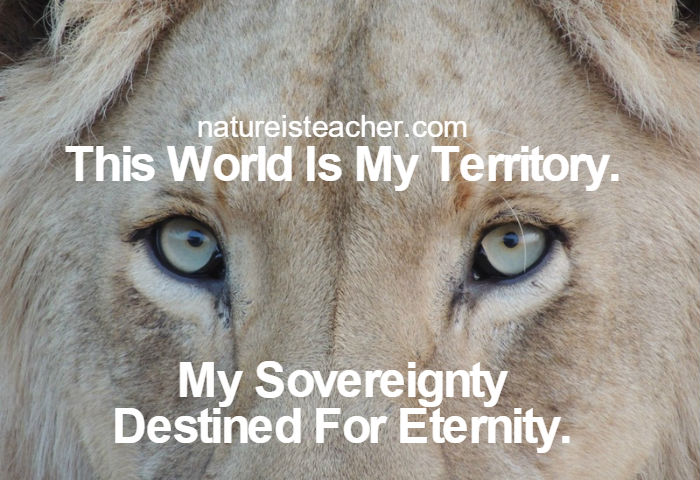 My Sovereignty Is For Eternity QUOTATION