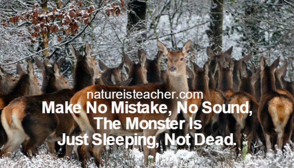 The Devil Is Just Sleeping Not Dead QUOTATION