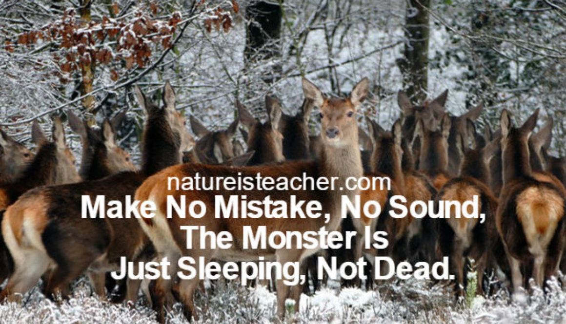 The Devil Is Just Sleeping Not Dead QUOTATION