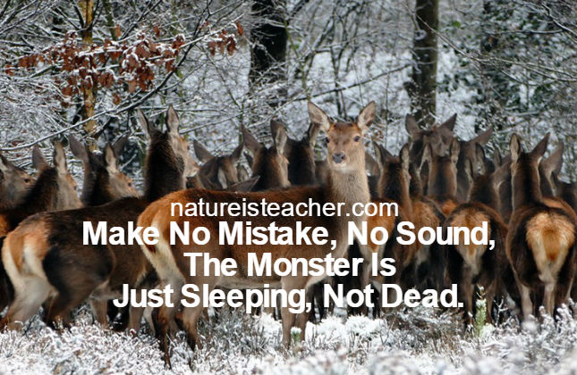 The Devil Is Just Sleeping Not Dead QUOTATION