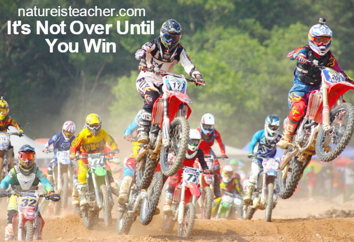 It's Not Over Until You Win QUOTATION