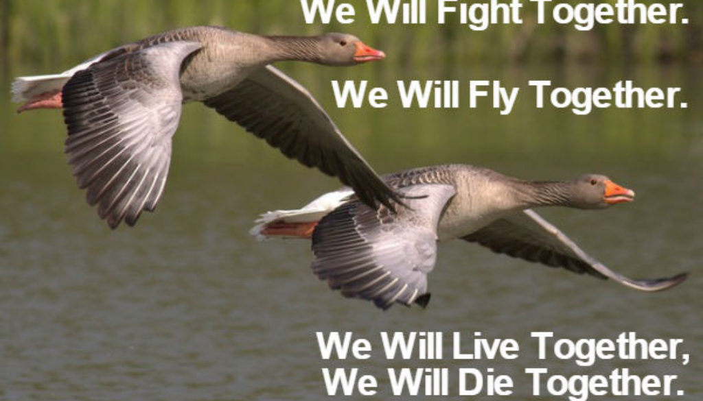 Don't Worry Brother QUOTATION