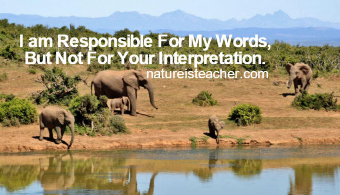 I am Not Responsible For Your Misinterpretation QUOTATION