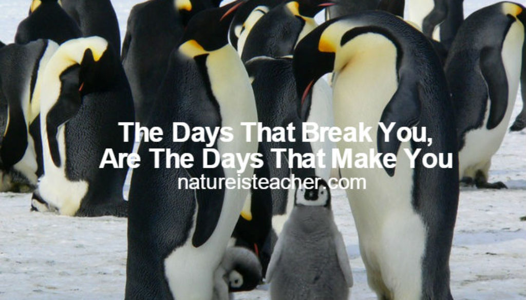 The Days That Make You QUOTATION