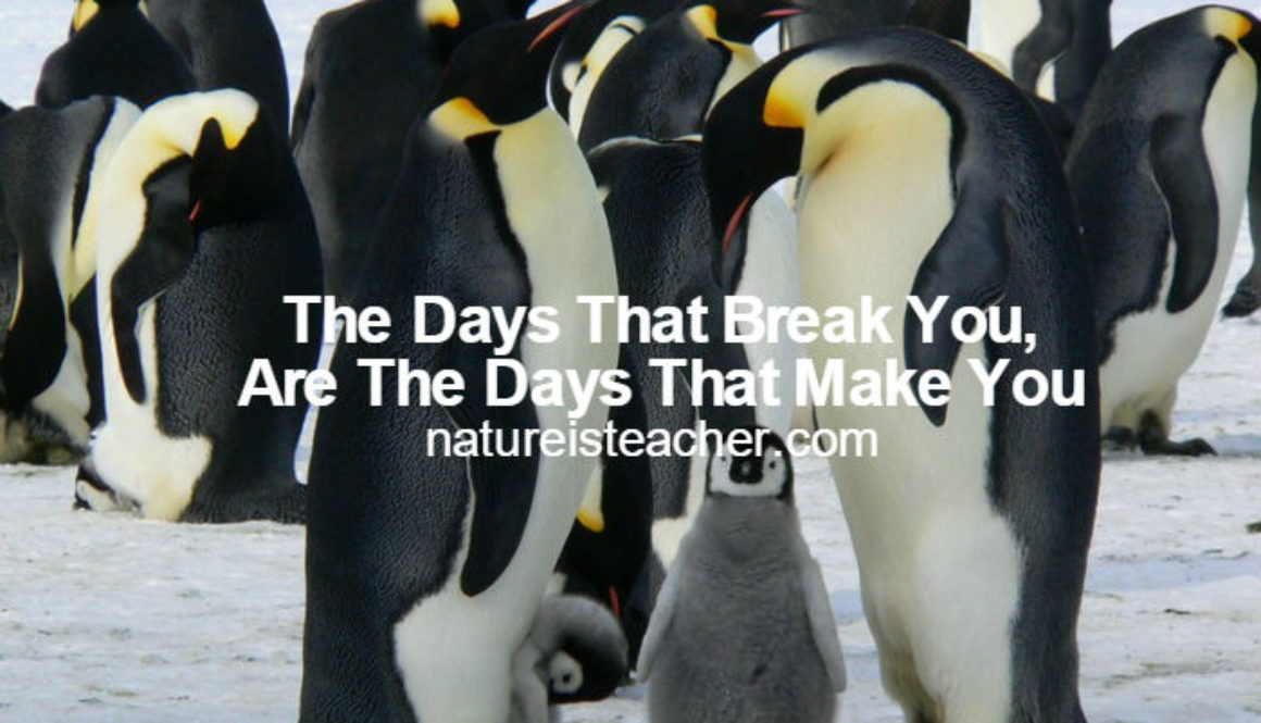 The Days That Make You QUOTATION