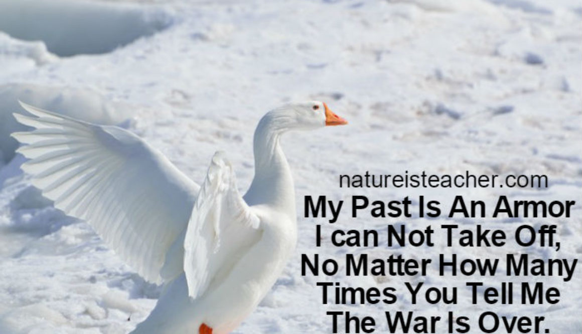 My Past Is An Armor QUOTATION