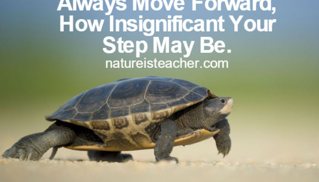 Move Forward QUOTATION