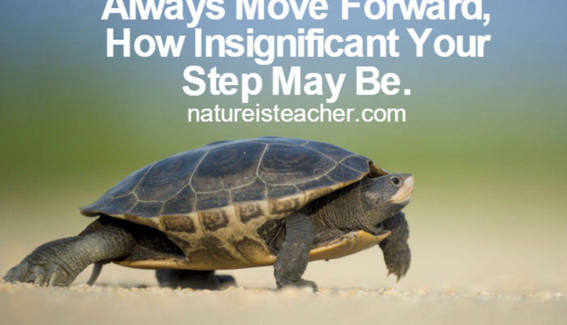 Move Forward QUOTATION