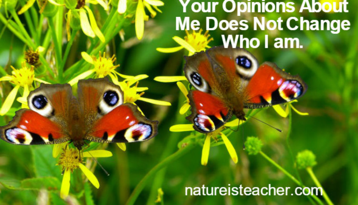 Your Opinions Does Not Change Me QUOTATION