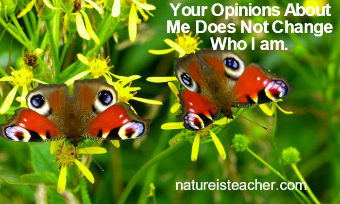 Your Opinions Does Not Change Me QUOTATION