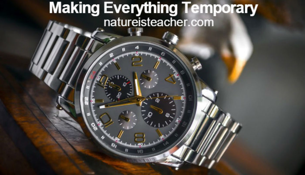 Time Makes Everything Temporary QUOTATION