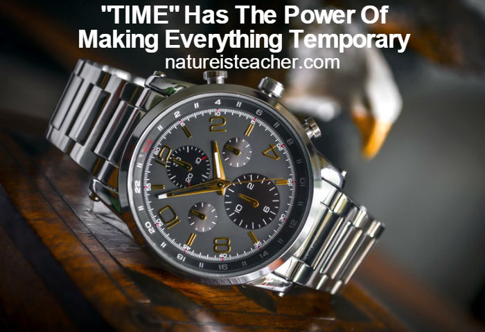 Time Makes Everything Temporary QUOTATION