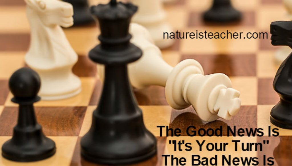 It's Your Turn But Checkmate QUOTATION