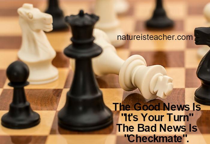 It's Your Turn But Checkmate QUOTATION