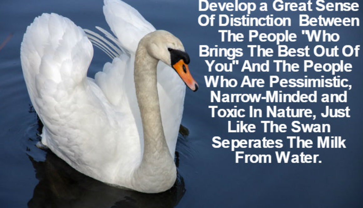 Be Like The Bird Swan QUOTATION