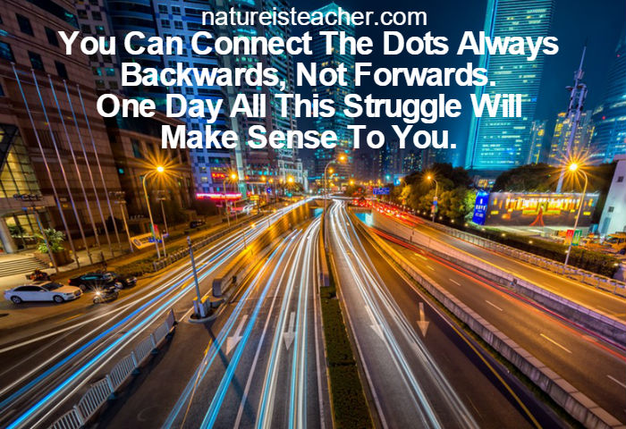 Some Day Your Struggle Pays Off QUOTATION