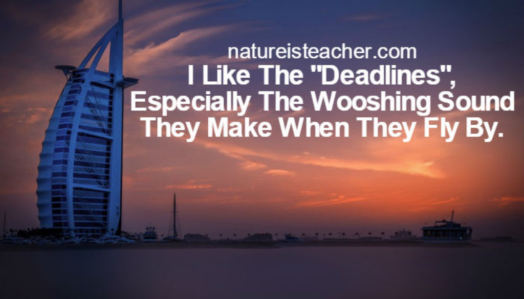 I Like The Deadlines QUOTATION