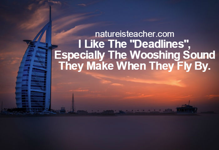 I Like The Deadlines QUOTATION