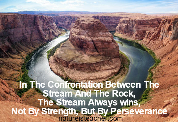 Perseverance QUOTATION