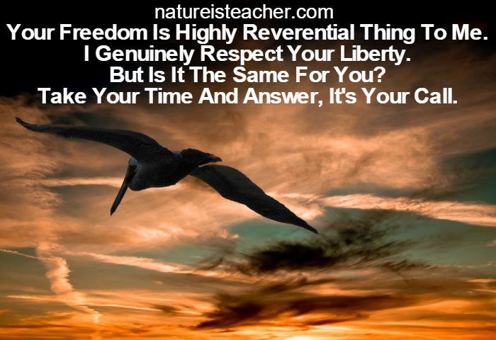 I Value Your Liberty QUOTATION